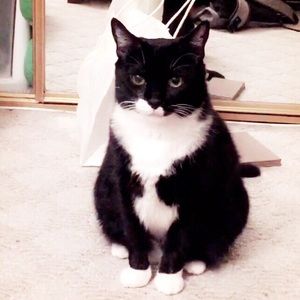 Meet your Posher, Violet